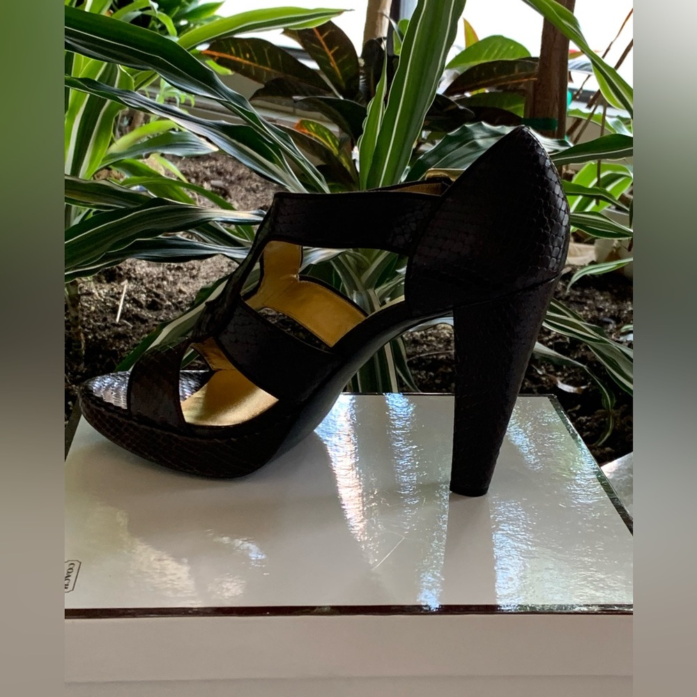 COACH IVANAH PYTHON/NUBUCK CHESTNUT BROWN SIZE 8M NEW IN BOX - Picture 4 of 16